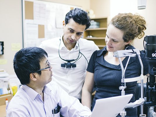 Team work, collaboration, research