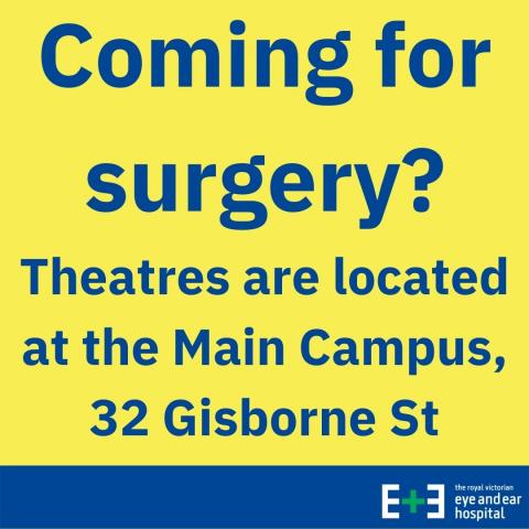 Coming for surgery? Theatres are located at the Main Campus, 32 Gisbourne Street
