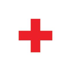 Triage icon - red emergency cross
