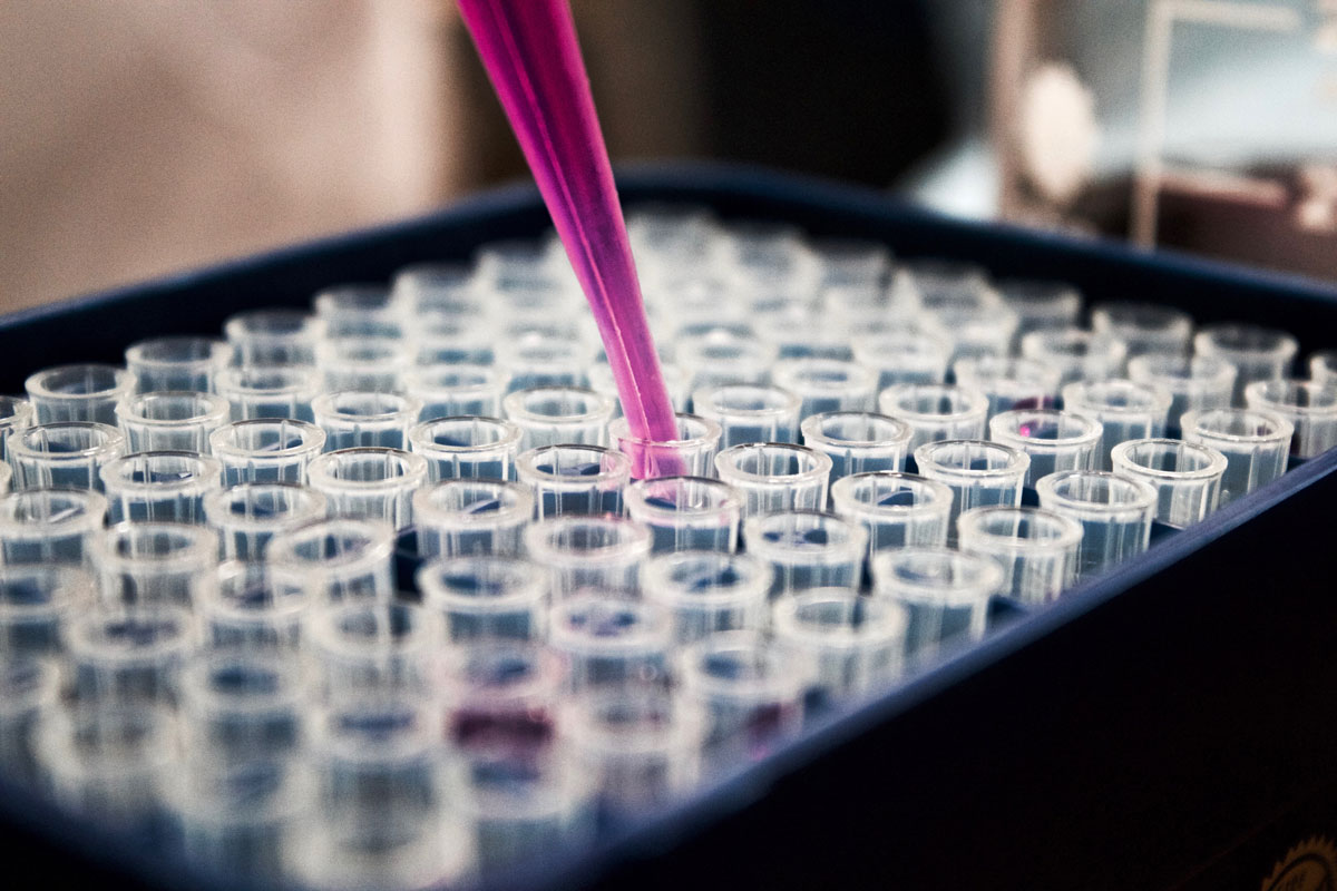 Vials in a research lab