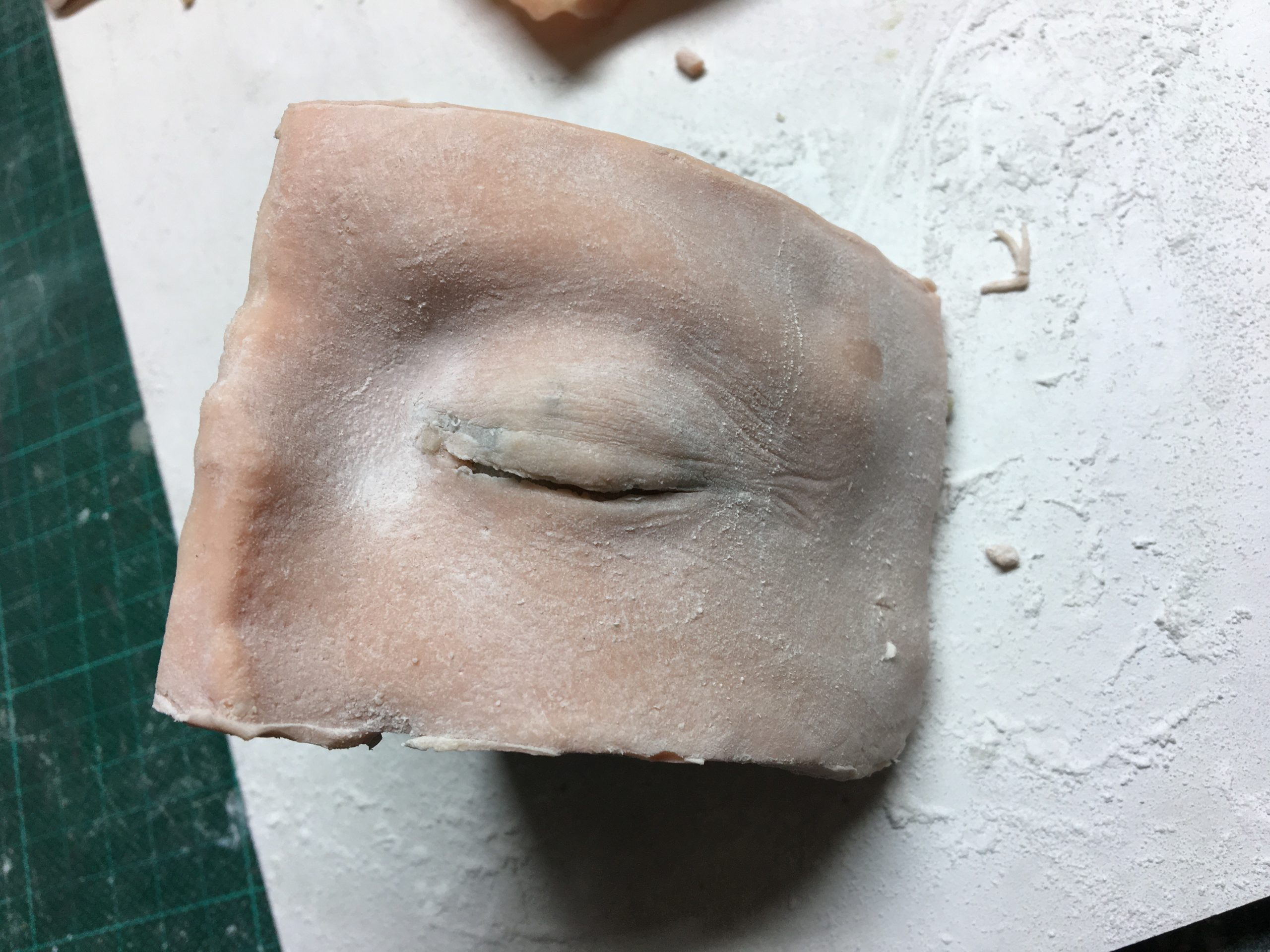 soft tissue 3D print of an eye
