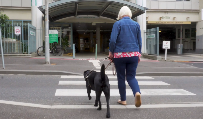 Sandra and her guide dog Ishka walking across the road via a zebra crossing into the hospital