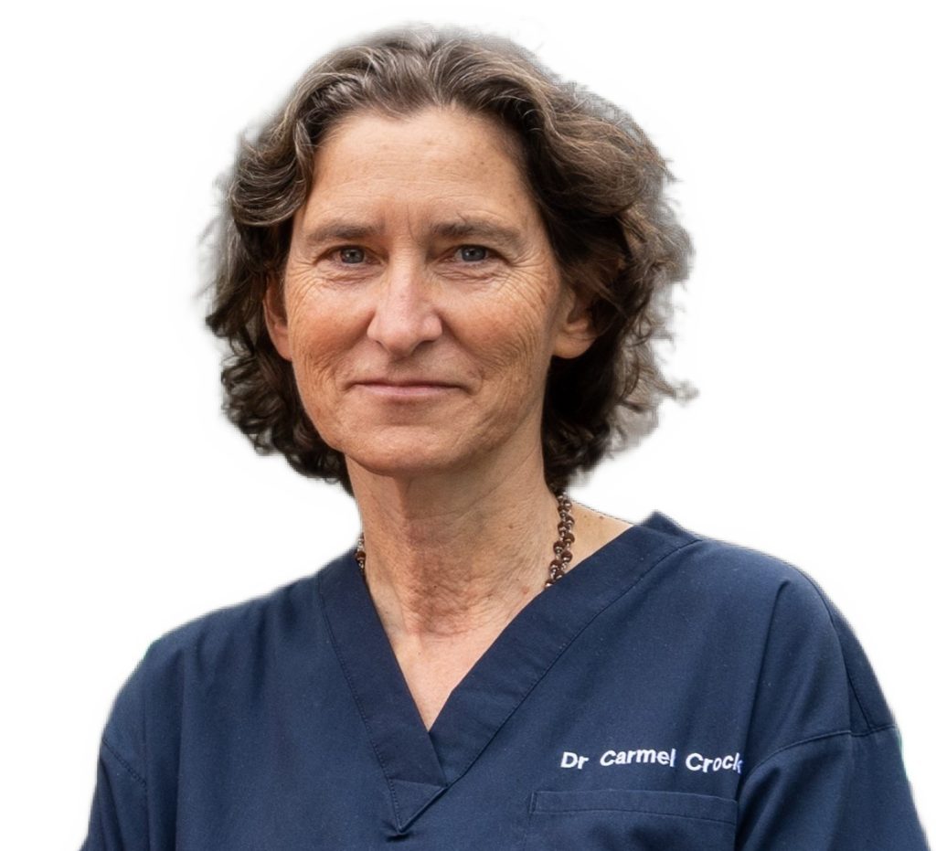 Headshot of a middle-aged female with black curly hair smiling wearing a dark blue doctors uniform