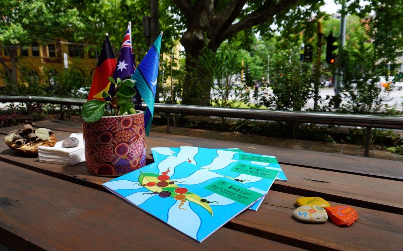 Our Innovate RAP 2.0 publications spread on a table that features healing stones, an indigenous pot and plant and the Australia, Aboriginal and Torres Strait Islander Flag against a green CBD background