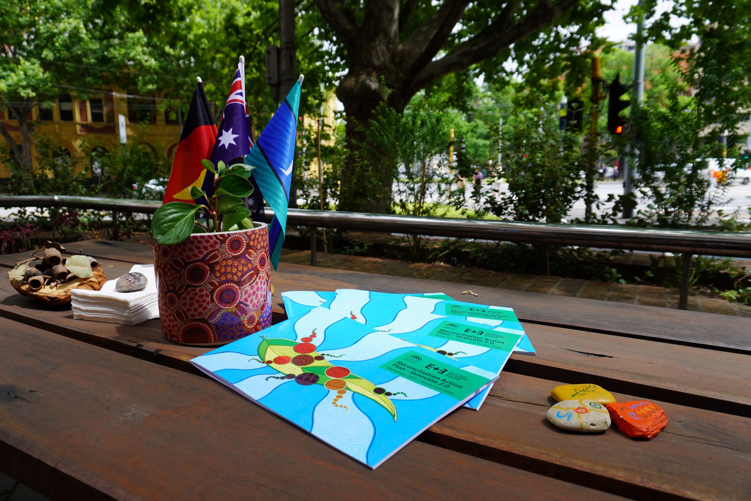 Our Innovate RAP 2.0 publications spread on a table that features healing stones, an indigenous pot and plant and the Australia, Aboriginal and Torres Strait Islander Flag against a green CBD background