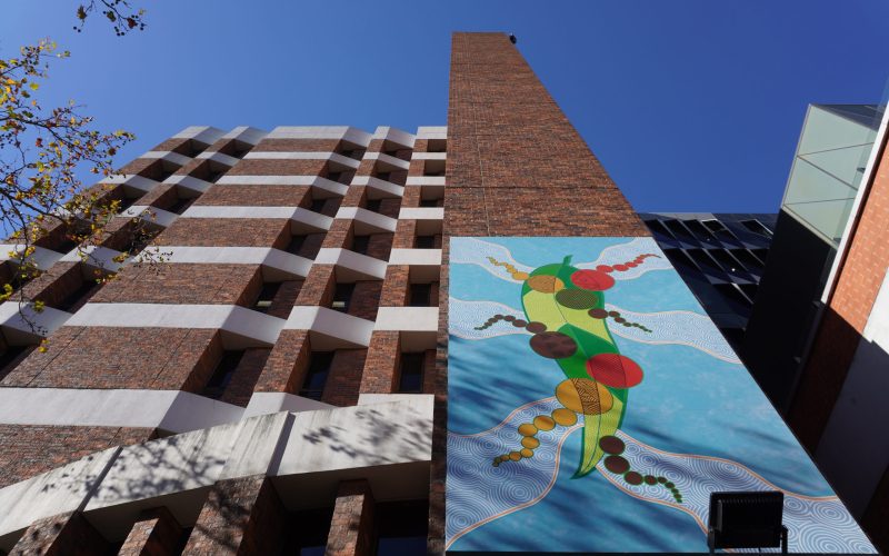 A photo looking up at Mandy Nicholson's Mannagum leaf mural on the side of the hospital above our Welcome Space against brown brick and a blue sky. The mural features a green mannagum leaf against a blue background with a number of Aboriginal art motifs in earthy colours.